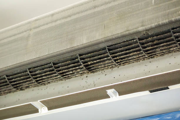 Best Professional Duct Cleaning Services  in Colleyville, TX